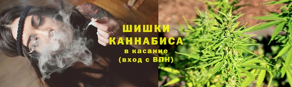 круглые Вязьма