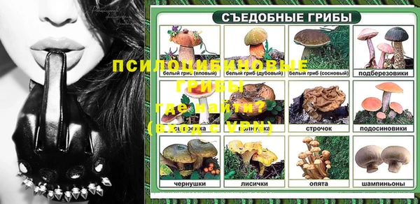 ешки Артём