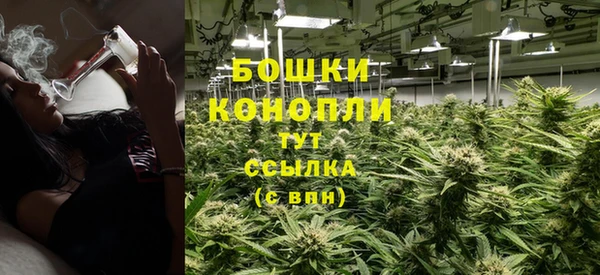 стаф Беломорск