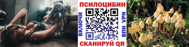 darknet телеграм  где купить наркоту  kraken как зайти  Вуктыл  Галлюциногенные грибы Psilocybe 
